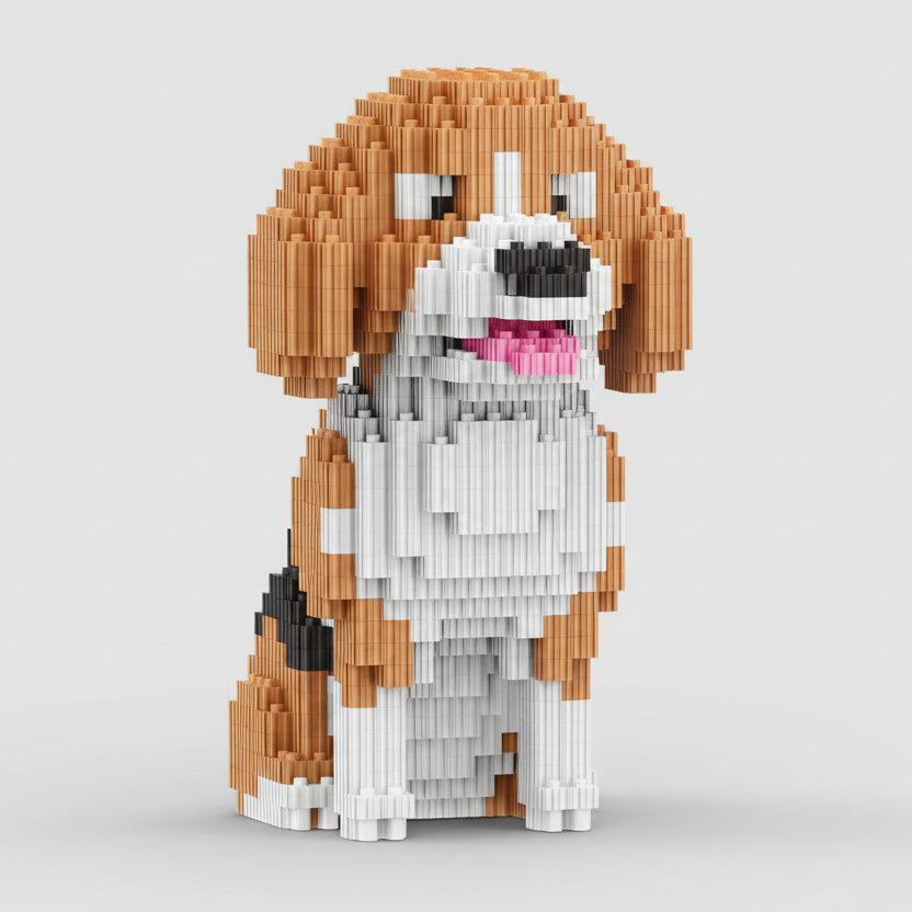 Beagle | Building Blocks