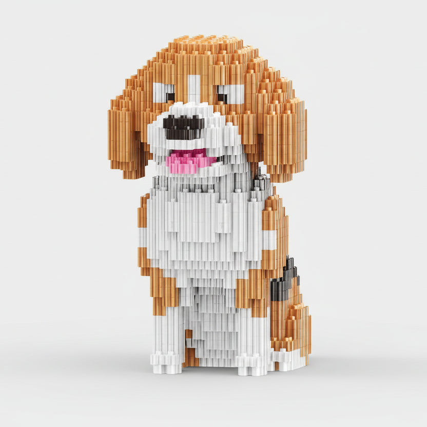 Beagle | Building Blocks